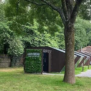 Campsite Cosy Cinema